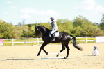 SBM_000203