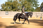 SBM_18311