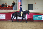 SBM_15233