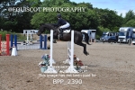 BPP_2390
