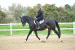 LAD_4347