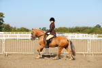 SBM_01199