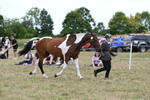 WJ6_6075