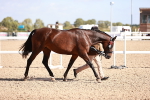 SBM_22773