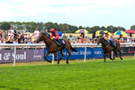 280726-Race 5-Norcross Brow-1258