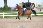 Cls 23 1.10m Amateur Qualifier and Open portfolio