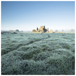 Hore Abbey, Cashel, Co Tipperary