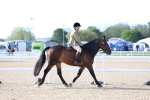 SBM_16806