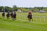 Race 2 14.27pm Every Race Live On Racing TV Handicap portfolio