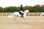 SBM_001597