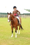 Class 44-45 - LIHS BSPS Open Nursery and Cradle Stakes portfolio