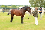 SBM_04235