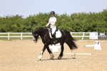 SBM_009037