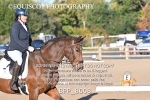 BPP_8008