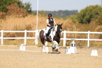 SBM_018267