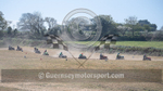 Lawn Mower Racing_24-04-2021-9