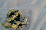 West Wittering - 57