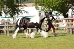 SBM_08773