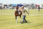 SBM_05459