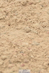 230611A-123352-05520