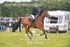BPP_3483