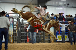3HRodeo_Frozen_Fury_FEB_2026_01210