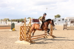 SBM_07343