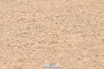240509A-104223-00959