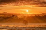 Frosty Sunrise