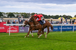 160926-Race 4-Woodvale-0670