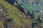 Lords Seat-5