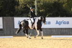 SBM_28542