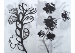 Alison Philp; Buds Blooms, book