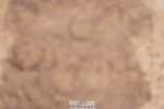 240506A-111834-08538