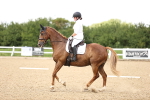 SBM_001460