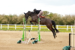 Class 6 - National 1.30 1.40m portfolio