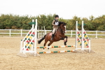 SBM_007296