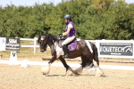SBM_012313