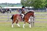 SBM_08544