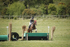 BVHT 140517  IXC -8