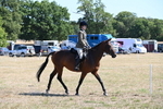 WJ6_8358
