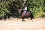 WJ6_8633