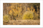 Clumber Park portfolio
