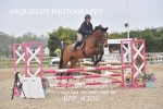 BPP_4304