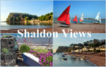 NEW Shaldon Views