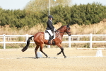 SBM_016902