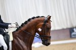SBM_006146