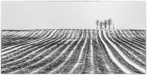 Snow storm on hill of Grange