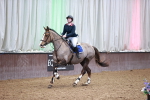 Class 21 - Senior British Novice - 90cm portfolio
