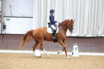 SBM_002273